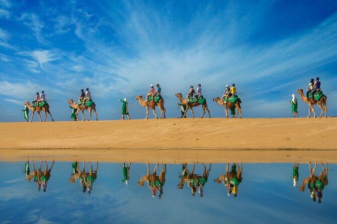 Camel Ride On The Beach at Los Cabos - An In-Depth Look at the Tour Experience