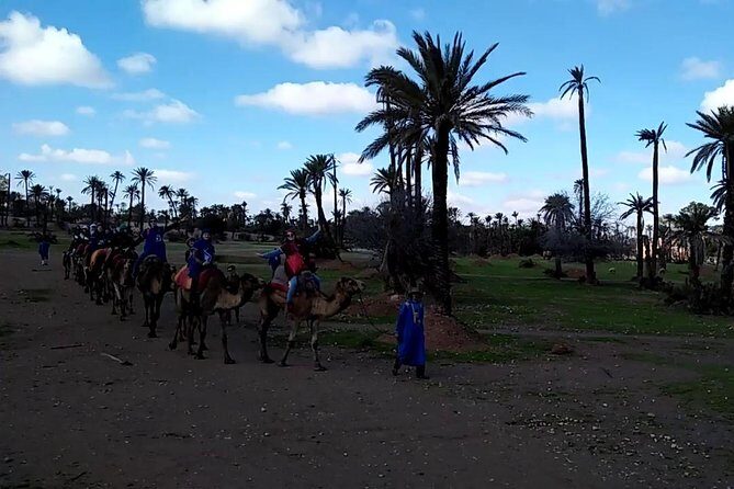 camel ride on the palm grove marrakech - The Sum Up: Is It Worth It?