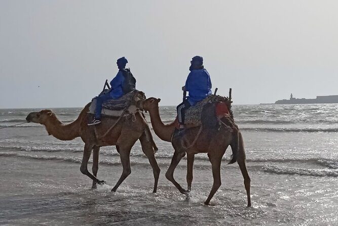Camel ride or quad bike ride.. pick up, drop off. including - The Experience: What to Expect from Start to Finish