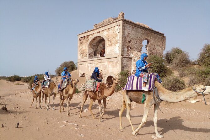 Camel ride or quad bike ride.. pick up, drop off. including - The Practical Side: Logistics, Cost, and Value