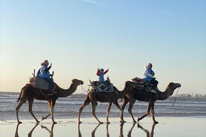 Camel ride or quad bike ride.. pick up, drop off. including - The Sum Up