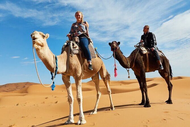Camel Ride & Overnight Berber Camps in Merzouga Desert - Analyzing the Value: Whats Included and Whats Not