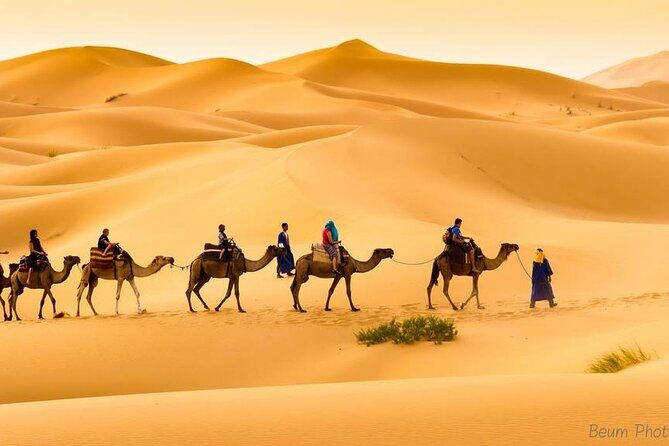Camel Ride & overnight stay in Desert Camp Merzouga - The Sum Up