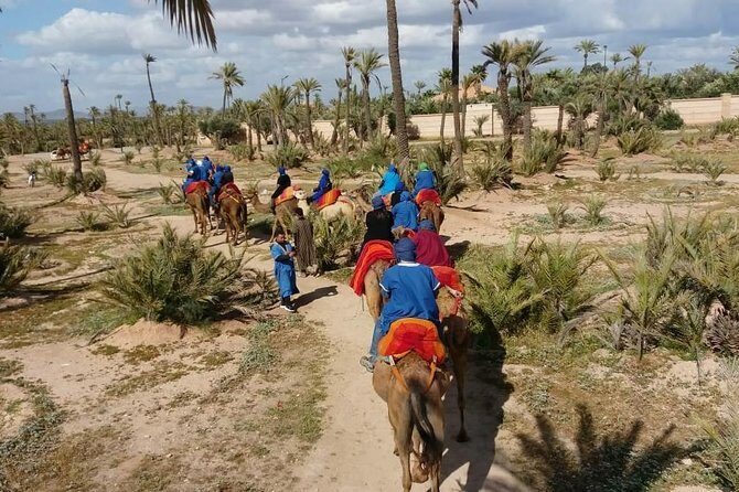 Camel Ride & Quad Bike tours in the palm grove of Marrakech - An Overview of the Experience