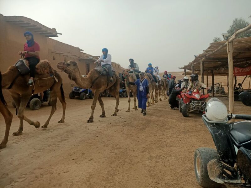Camel Ride & Quad Tour In Agafay Desert With Lunch - A Detailed Look at the Tour Experience