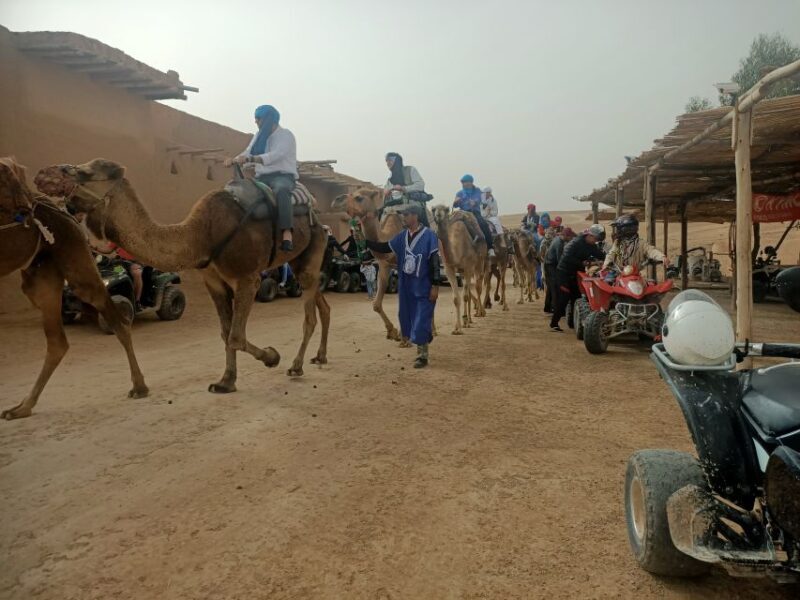 Camel Ride & Quad Tour In Agafay Desert With Lunch - The Sum Up