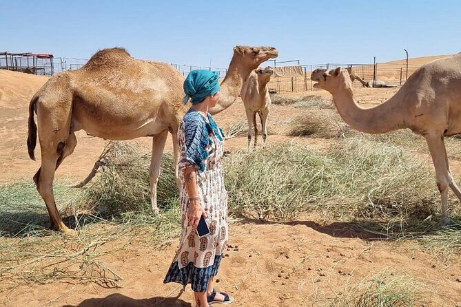 Camel Ride Safari in Red Dunes - FAQ