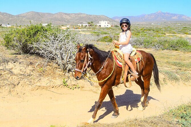 Camel Ride Tour in Los Cabos - An In-Depth Look at the Camel Ride Tour