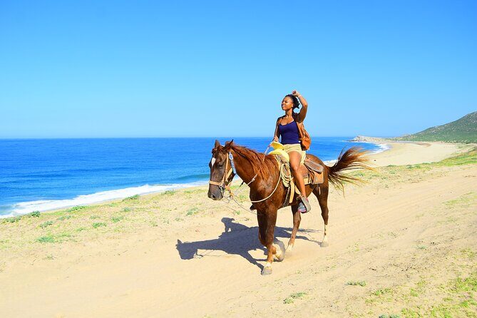 Camel Ride Tour in Los Cabos - Who Will Love This Tour?