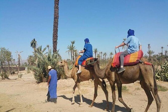 Camel ride tour in Marrakech - Exploring the Marrakech Camel Ride Experience