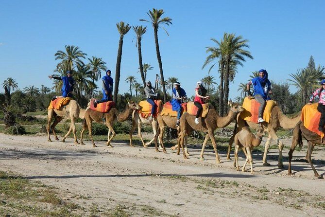 Camel ride tour in Marrakech - Final Thoughts: Is This Tour Right for You?