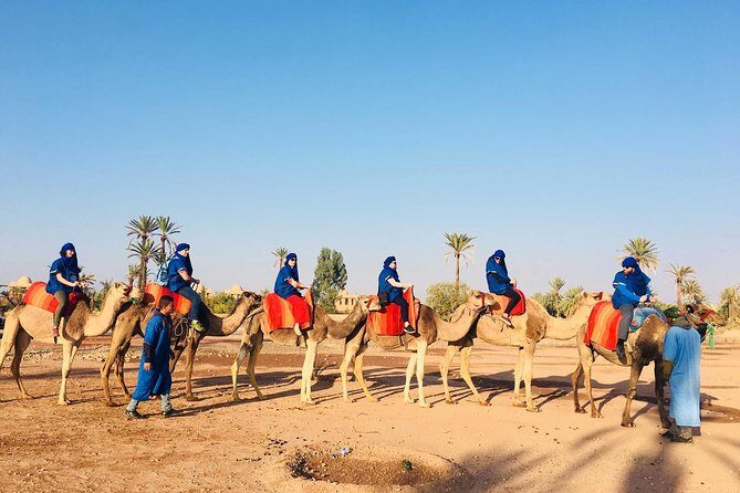Camel ride tour in Marrakech - Frequently Asked Questions