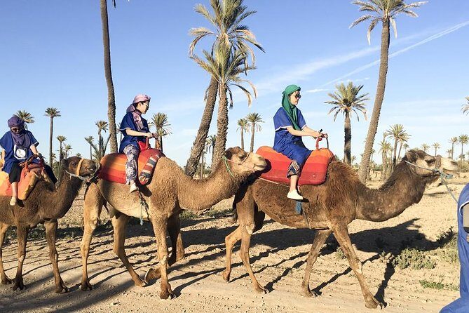 Camel ride tour in Marrakech - The Sum Up