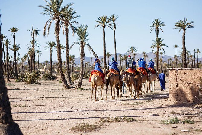 Camel ride tour in Marrakech - FAQ