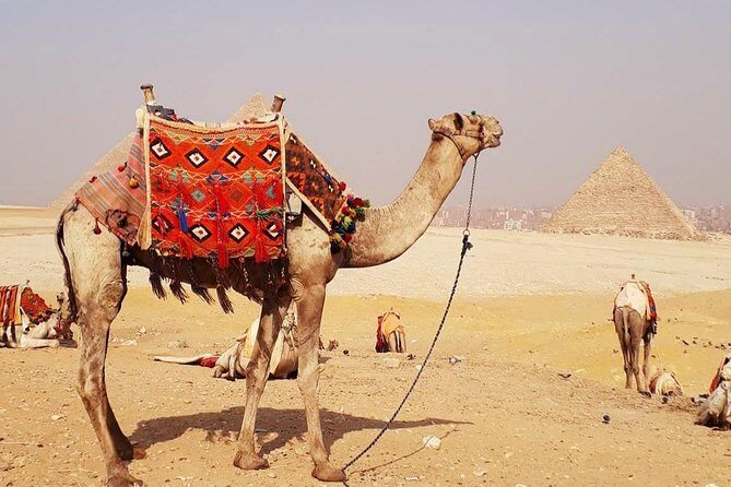 Camel Ride Trip Around Giza Pyramids During Sunrise Or Sunset - Authenticity and Comfort