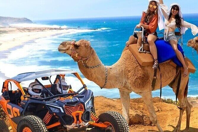 Camel Ride, UTV, and The Arch Tour with Lunch & Tequila Tasting! - Final Thoughts: Who Will Love This Tour?