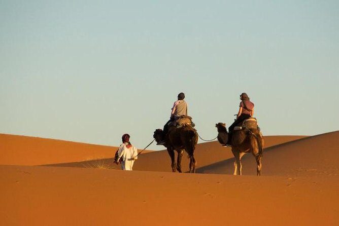 Camel Ride With Luxury Desert Camp And Night In Merzouga Dunes - The Sum Up: Why Choose This Experience?