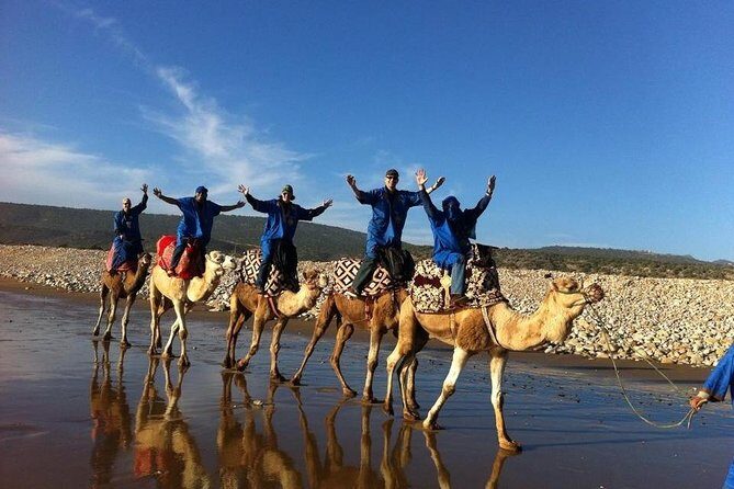 Camel Riding Agadir - The Journey Through Agadir’s Natural Beauty