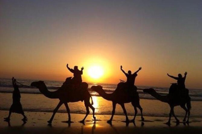 Camel Riding Agadir - Practical Details and Value