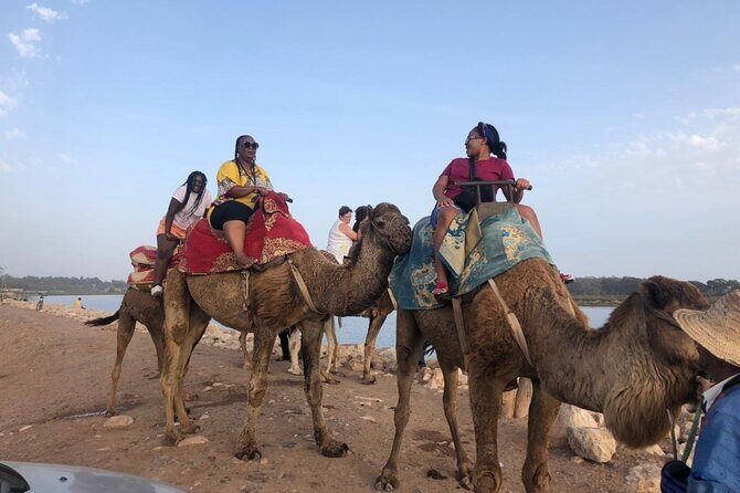 Camel Riding Agadir - Authentic & Personal Experience