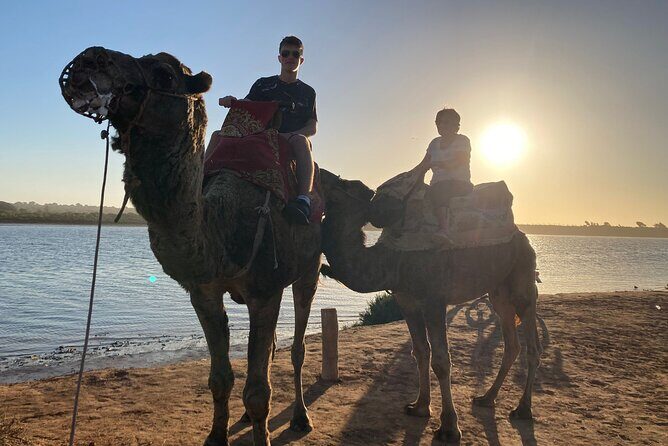 Camel Riding Agadir - Who Should Consider This Tour?