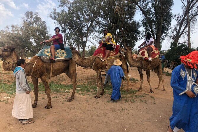 Camel Riding Agadir - The Sum Up