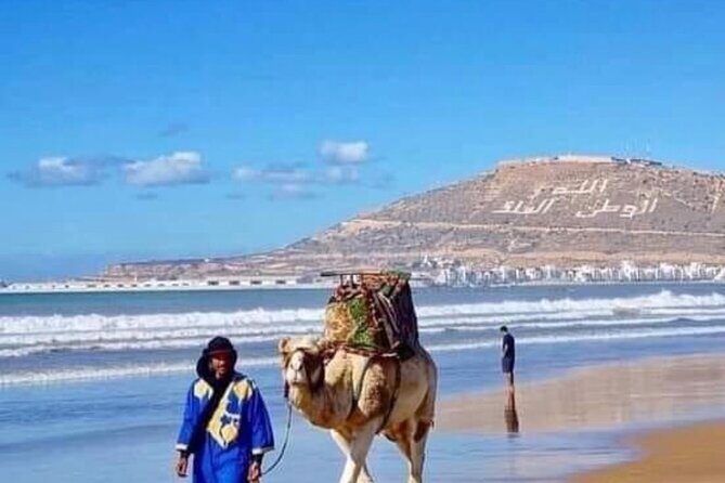 Camel Riding Agadir - FAQ
