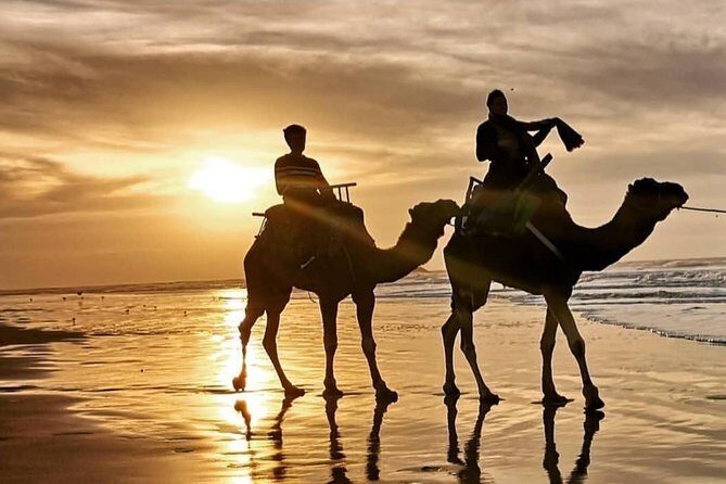 Camel Riding - An In-Depth Look at the Camel Riding Tour