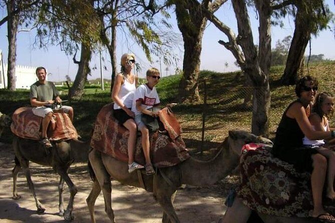 Camel Riding - FAQ