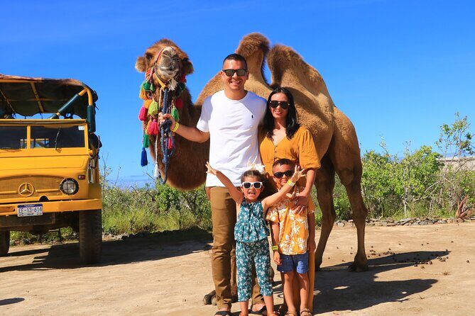 Camel riding experience on the shores of the Pacific Ocean - The Scenic Journey