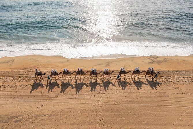 Camel riding experience on the shores of the Pacific Ocean - The Price and Its Value