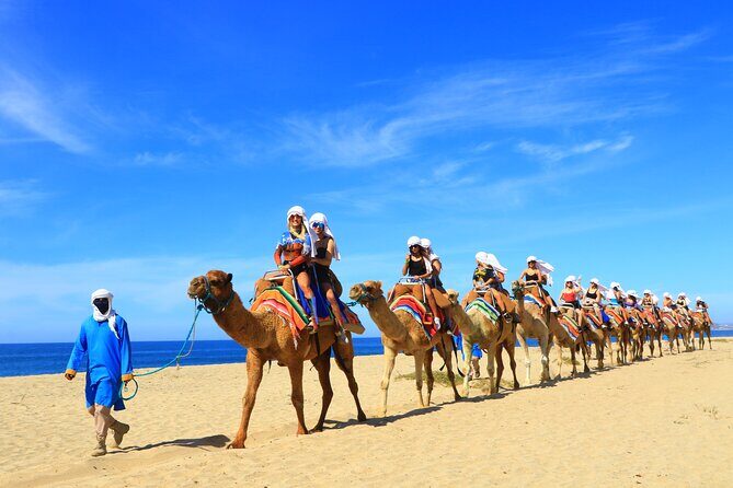 Camel riding experience on the shores of the Pacific Ocean - The Sum Up