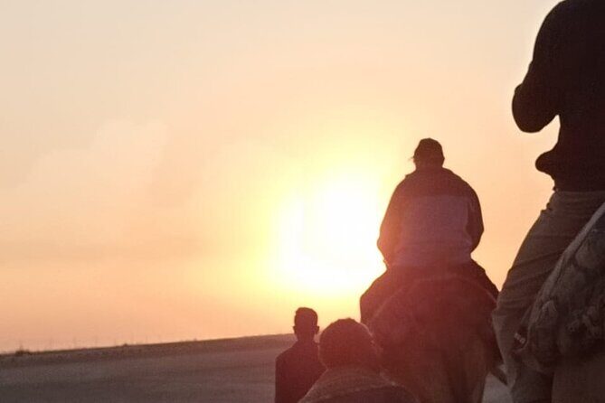 Camel Riding Tour in Luxor West Bank - An In-Depth Look at the Camel Riding Tour in Luxor West Bank