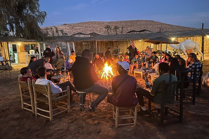 Camel Safari and Dinner Show in the Agafay Desert - Key Points