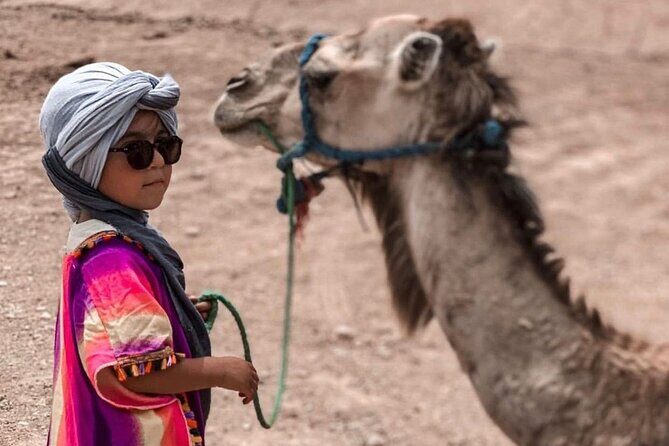 Camel Safari and Dinner Show in the Agafay Desert - What’s Included and What’s Not