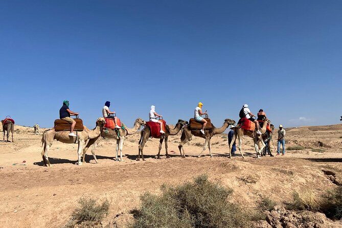 Camel Safari and Dinner Show in the Agafay Desert - How It Compares to Other Desert Tours