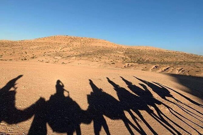 Camel Safari and Dinner Show in the Agafay Desert - Practical Tips for Travelers