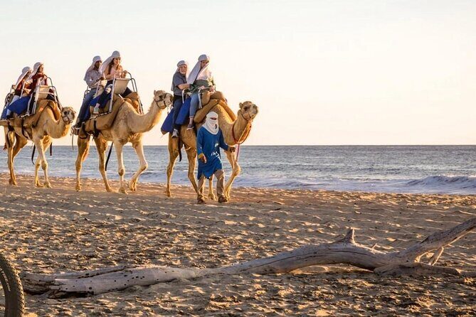 Camel Safari and Gastronomic Experience in Los Cabos - Who This Tour Is Perfect For