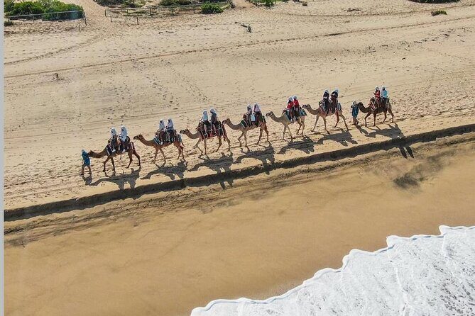 Camel Safari and Gastronomic Experience in Los Cabos - FAQ