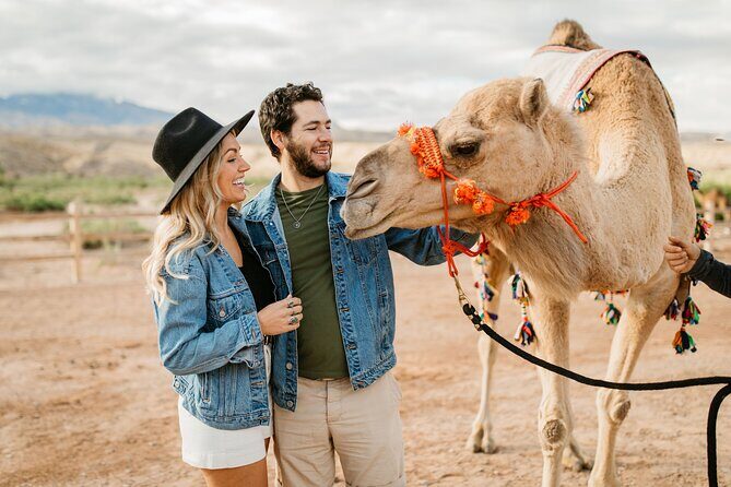 Camel Safari - Camel Ride and Zoo Tour - An Authentic Nevada Outdoor Experience