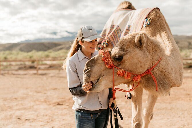 Camel Safari - Camel Ride and Zoo Tour - Practical Details and Tips