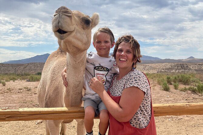 Camel Safari - Camel Ride and Zoo Tour - FAQ: Your Questions Answered