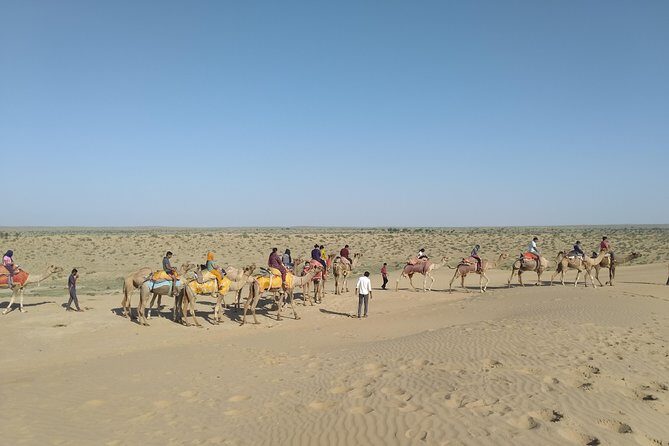 Camel Safari - Key Points