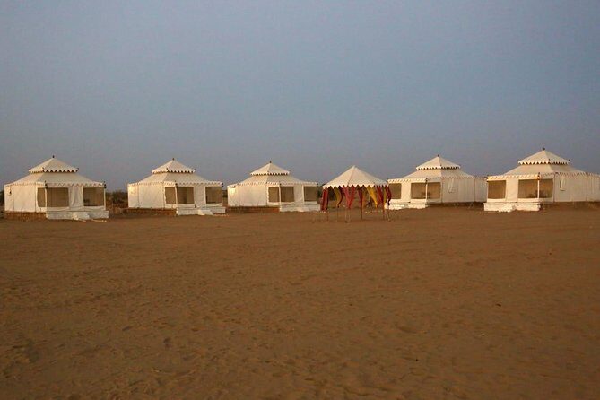 Camel Safari - Value and Practical Considerations