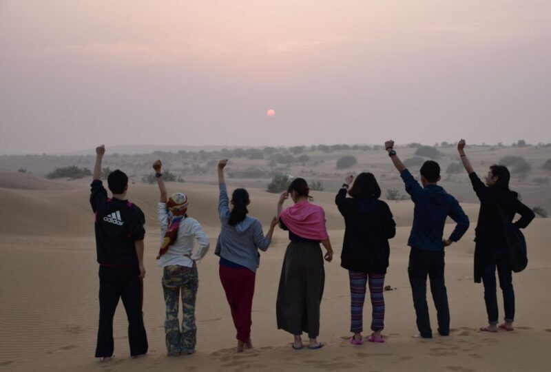 Camel Safari Half Day Desert Experience - What We Love About This Tour