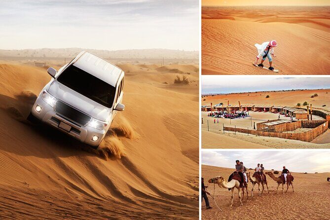 Camel Safari in Desert with Pickup and Drop off in Doha - What to Expect from the Camel Safari
