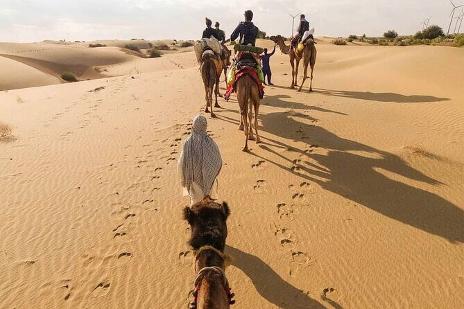 Camel safari in thar desert - Key Points