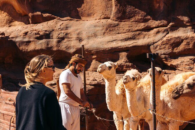 Camel Tours in Wadi Rum Desert | Magic Bedouin Star - Exploring Wadi Rum on Camelback: What to Expect
