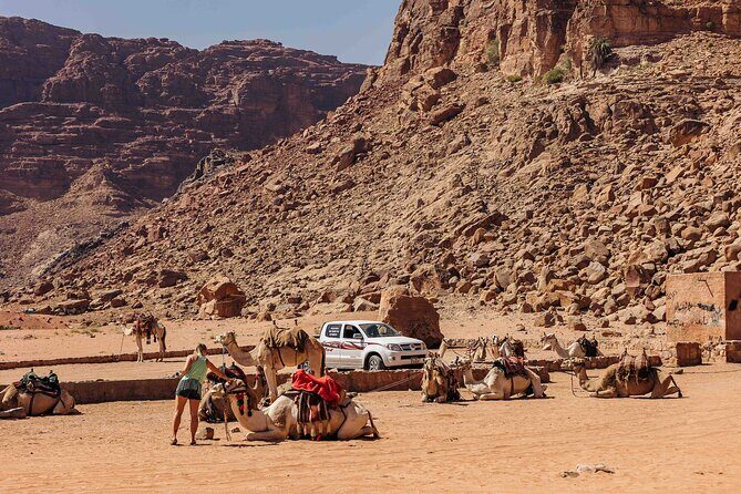 Camel Tours in Wadi Rum Desert | Magic Bedouin Star - The Guides and Their Impact