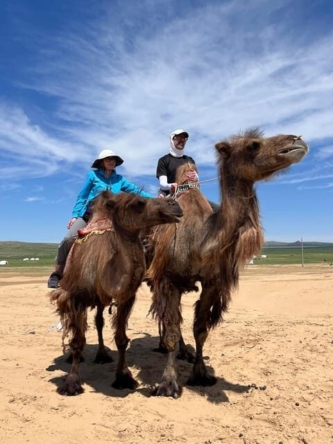 Camel Trails and Bird Tales: Discovering Elsen Tasarkhai - Key Points